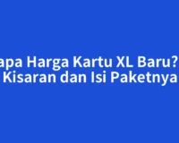 Berapa Harga Kartu XL Baru? Cek Kisaran dan Isi Paketnya