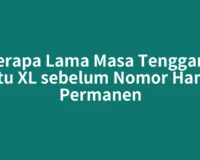 Berapa Lama Masa Tenggang Kartu XL sebelum Nomor Hangus Permanen