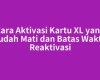 Cara Aktivasi Kartu XL yang Sudah Mati dan Batas Waktu Reaktivasi