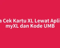 Cara Cek Kartu XL Lewat Aplikasi myXL dan Kode UMB