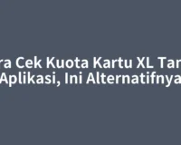 Cara Cek Kuota Kartu XL Tanpa Aplikasi, Ini Alternatifnya