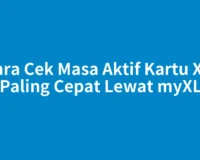 Cara Cek Masa Aktif Kartu XL, Paling Cepat Lewat myXL