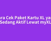 Cara Cek Paket Kartu XL yang Sedang Aktif Lewat myXL