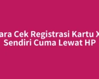 Cara Cek Registrasi Kartu XL Sendiri Cuma Lewat HP