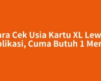 Cara Cek Usia Kartu XL Lewat Aplikasi, Cuma Butuh 1 Menit