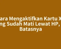 Cara Mengaktifkan Kartu XL yang Sudah Mati Lewat HP, Ini Batasnya
