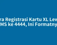 Cara Registrasi Kartu XL Lewat SMS ke 4444, Ini Formatnya