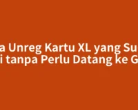Cara Unreg Kartu XL yang Sudah Mati tanpa Perlu Datang ke Gerai