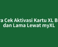 Cara Cek Aktivasi Kartu XL Baru dan Lama Lewat myXL