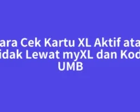 Cara Cek Kartu XL Aktif atau Tidak Lewat myXL dan Kode UMB