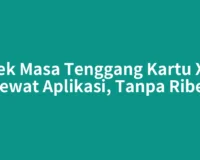 Cek Masa Tenggang Kartu XL Lewat Aplikasi, Tanpa Ribet