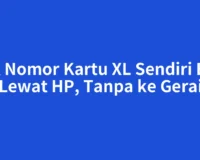 Cek Nomor Kartu XL Sendiri Bisa Lewat HP, Tanpa ke Gerai