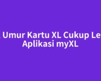 Cek Umur Kartu XL Cukup Lewat Aplikasi myXL