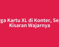 Harga Kartu XL di Konter, Segini Kisaran Wajarnya