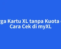 Harga Kartu XL tanpa Kuota dan Cara Cek di myXL