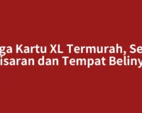 Harga Kartu XL Termurah, Segini Kisaran dan Tempat Belinya