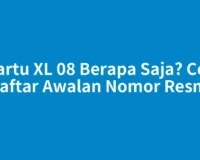 Kartu XL 08 Berapa Saja? Cek Daftar Awalan Nomor Resmi
