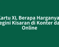 Kartu XL Berapa Harganya? Segini Kisaran di Konter dan Online