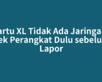 Kartu XL Tidak Ada Jaringan? Cek Perangkat Dulu sebelum Lapor