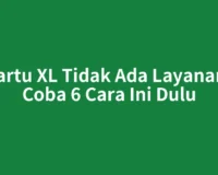 Kartu XL Tidak Ada Layanan? Coba 6 Cara Ini Dulu