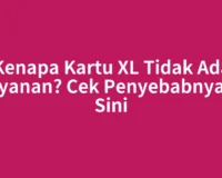 Kenapa Kartu XL Tidak Ada Layanan? Cek Penyebabnya di Sini
