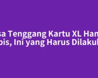 Masa Tenggang Kartu XL Hampir Habis, Ini yang Harus Dilakukan