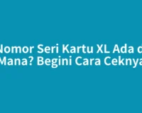 Nomor Seri Kartu XL Ada di Mana? Begini Cara Ceknya