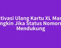 Aktivasi Ulang Kartu XL Masih Mungkin Jika Status Nomornya Mendukung