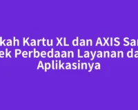 Apakah Kartu XL dan AXIS Sama? Cek Perbedaan Layanan dan Aplikasinya