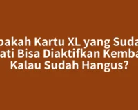 Apakah Kartu XL yang Sudah Mati Bisa Diaktifkan Kembali Kalau Sudah Hangus?