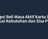 Opsi Beli Masa Aktif Kartu XL Sesuai Kebutuhan dan Sisa Pulsa