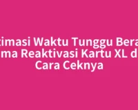 Estimasi Waktu Tunggu Berapa Lama Reaktivasi Kartu XL dan Cara Ceknya