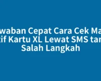Jawaban Cepat Cara Cek Masa Aktif Kartu XL Lewat SMS tanpa Salah Langkah