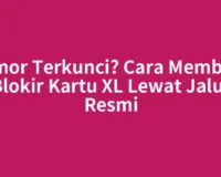 Nomor Terkunci? Cara Membuka Blokir Kartu XL Lewat Jalur Resmi