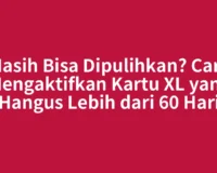 Masih Bisa Dipulihkan? Cara Mengaktifkan Kartu XL yang Hangus Lebih dari 60 Hari