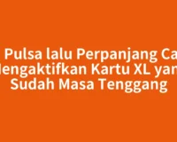 Isi Pulsa lalu Perpanjang Cara Mengaktifkan Kartu XL yang Sudah Masa Tenggang