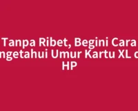 Tanpa Ribet, Begini Cara Mengetahui Umur Kartu XL dari HP