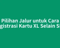 Pilihan Jalur untuk Cara Registrasi Kartu XL Selain SMS