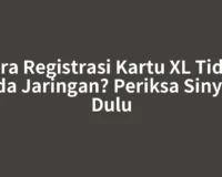 Cara Registrasi Kartu XL Tidak Ada Jaringan? Periksa Sinyal Dulu