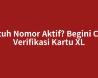 Butuh Nomor Aktif? Begini Cara Verifikasi Kartu XL