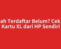 Sudah Terdaftar Belum? Cek NIK Kartu XL dari HP Sendiri