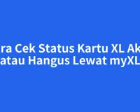 Cara Cek Status Kartu XL Aktif atau Hangus Lewat myXL
