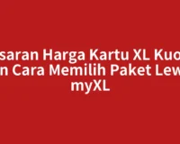 Kisaran Harga Kartu XL Kuota dan Cara Memilih Paket Lewat myXL