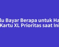 Perlu Bayar Berapa untuk Harga Kartu XL Prioritas saat Ini