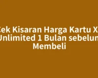 Cek Kisaran Harga Kartu XL Unlimited 1 Bulan sebelum Membeli