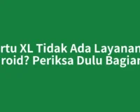 Kartu XL Tidak Ada Layanan di Android? Periksa Dulu Bagian Ini