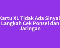 Kartu XL Tidak Ada Sinyal: Langkah Cek Ponsel dan Jaringan