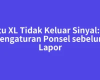 Kartu XL Tidak Keluar Sinyal: Cek Pengaturan Ponsel sebelum Lapor