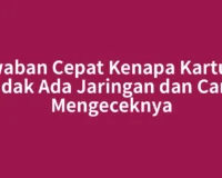 Jawaban Cepat Kenapa Kartu XL Tidak Ada Jaringan dan Cara Mengeceknya