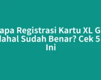 Kenapa Registrasi Kartu XL Gagal Padahal Sudah Benar? Cek 5 Hal Ini